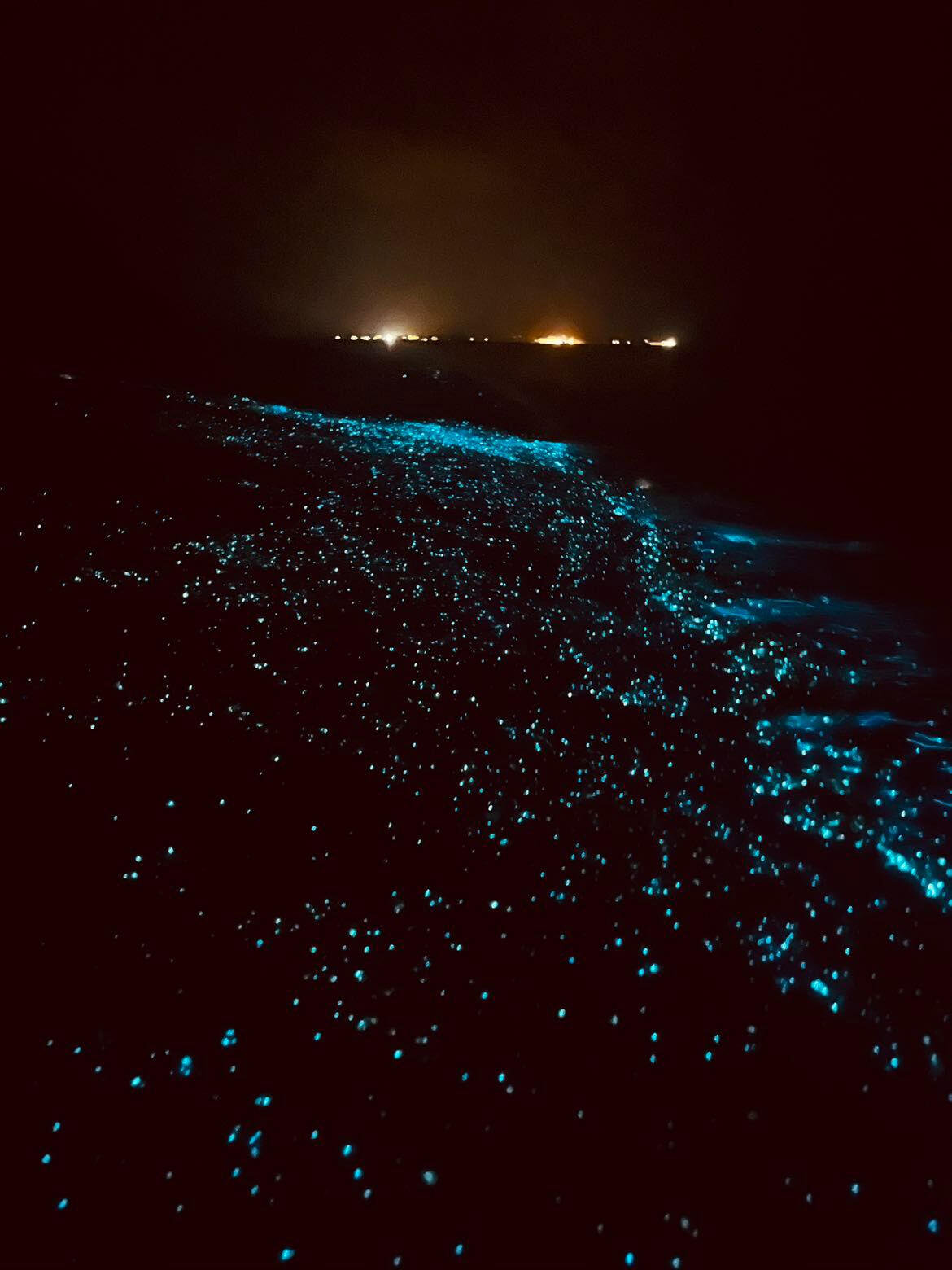 Biolumineszenz Maldives